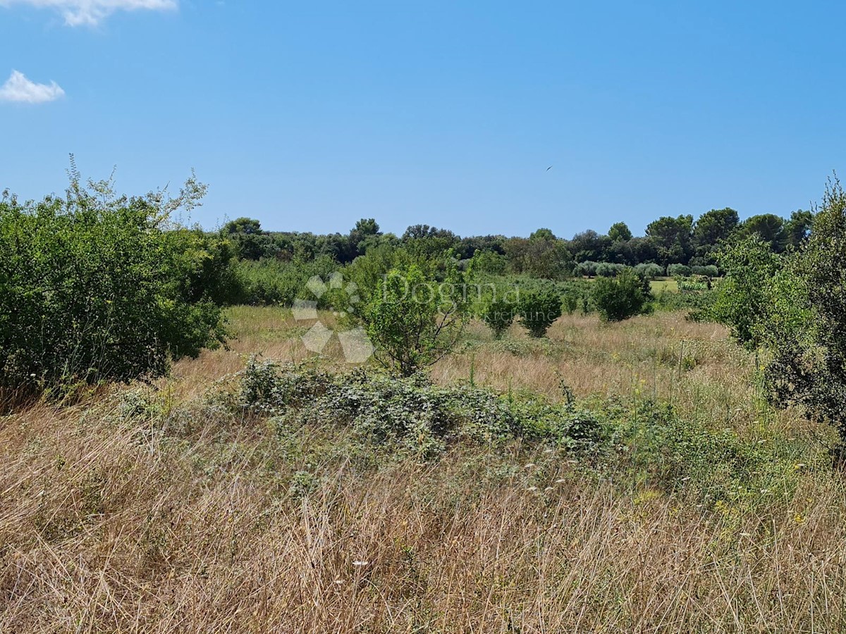 Terreno In vendita - ISTARSKA PULA