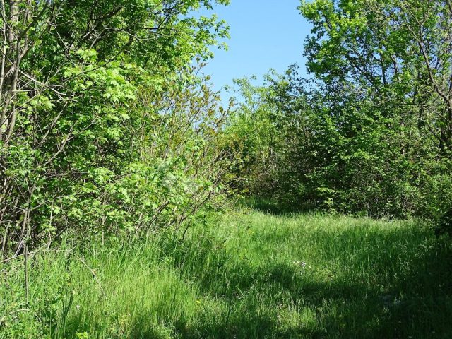 Parcela na predaj 5433 m² – Ročko Polje