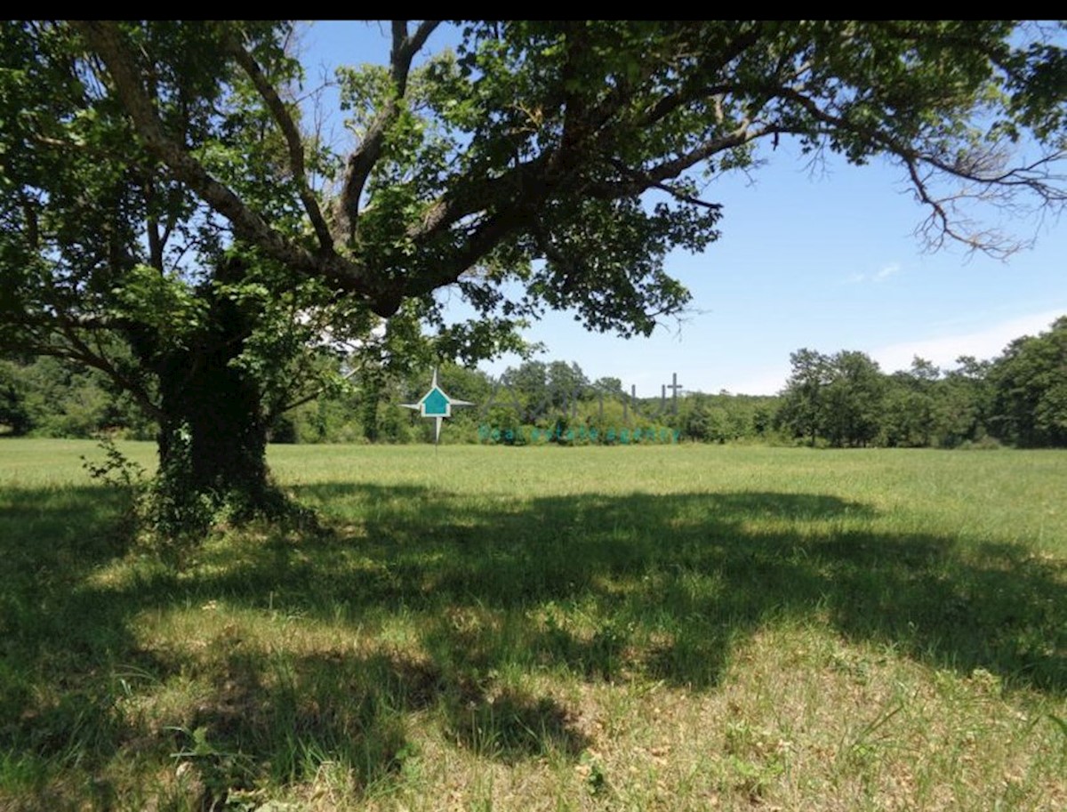 Terrain À vendre - ISTARSKA ŽMINJ