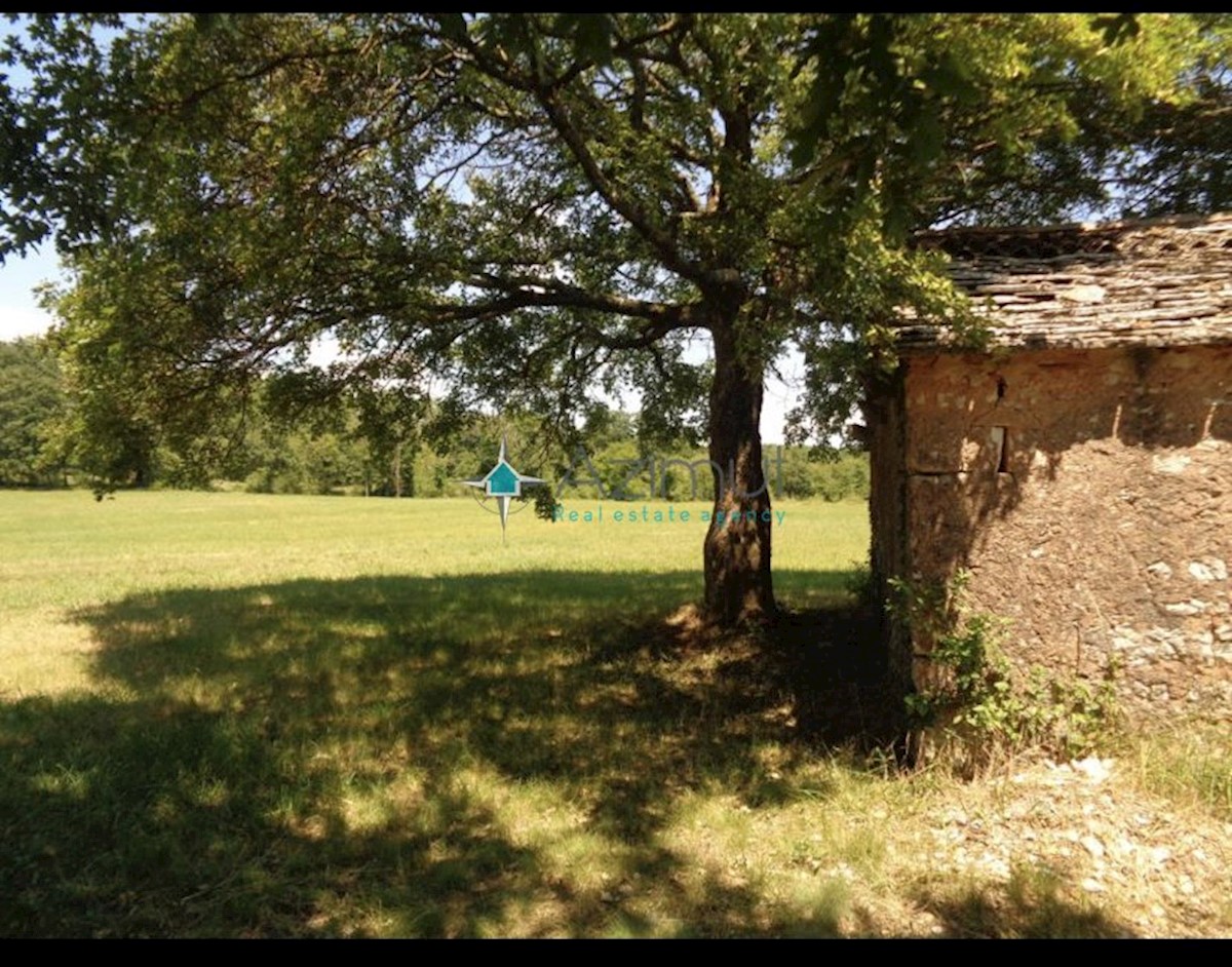 Terrain À vendre - ISTARSKA ŽMINJ