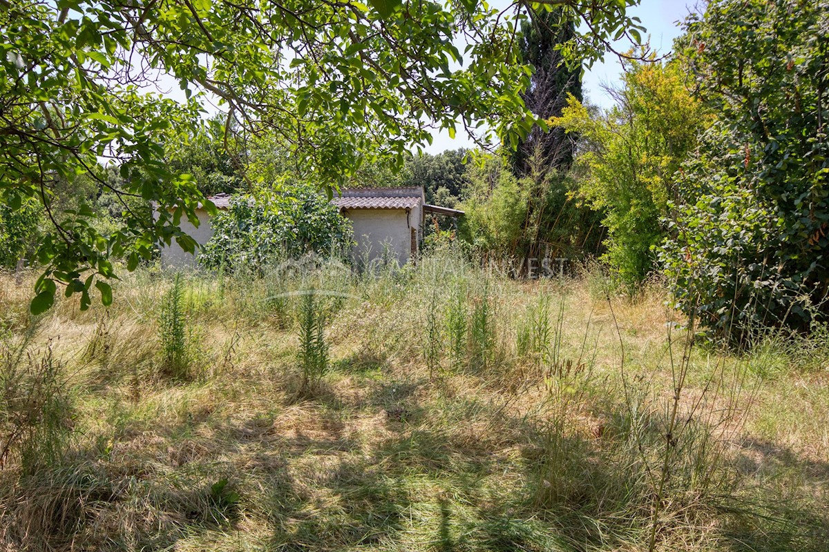 Pozemok Na predaj - ISTARSKA LIŽNJAN