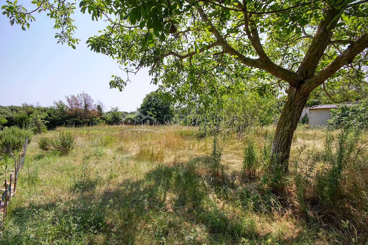 Pozemok Na predaj - ISTARSKA LIŽNJAN