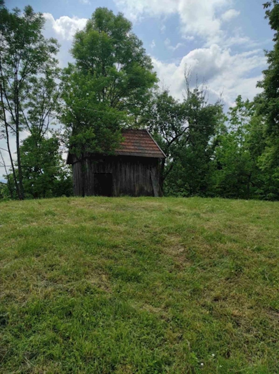 Haus Zu verkaufen - PRIMORSKO-GORANSKA BROD MORAVICE