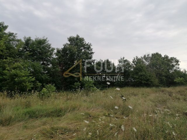Grundstück zu verkaufen 3541 m² – Kringa