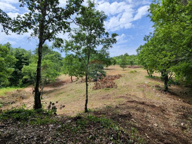 Terrain à vendre 5448 m² – Rajki