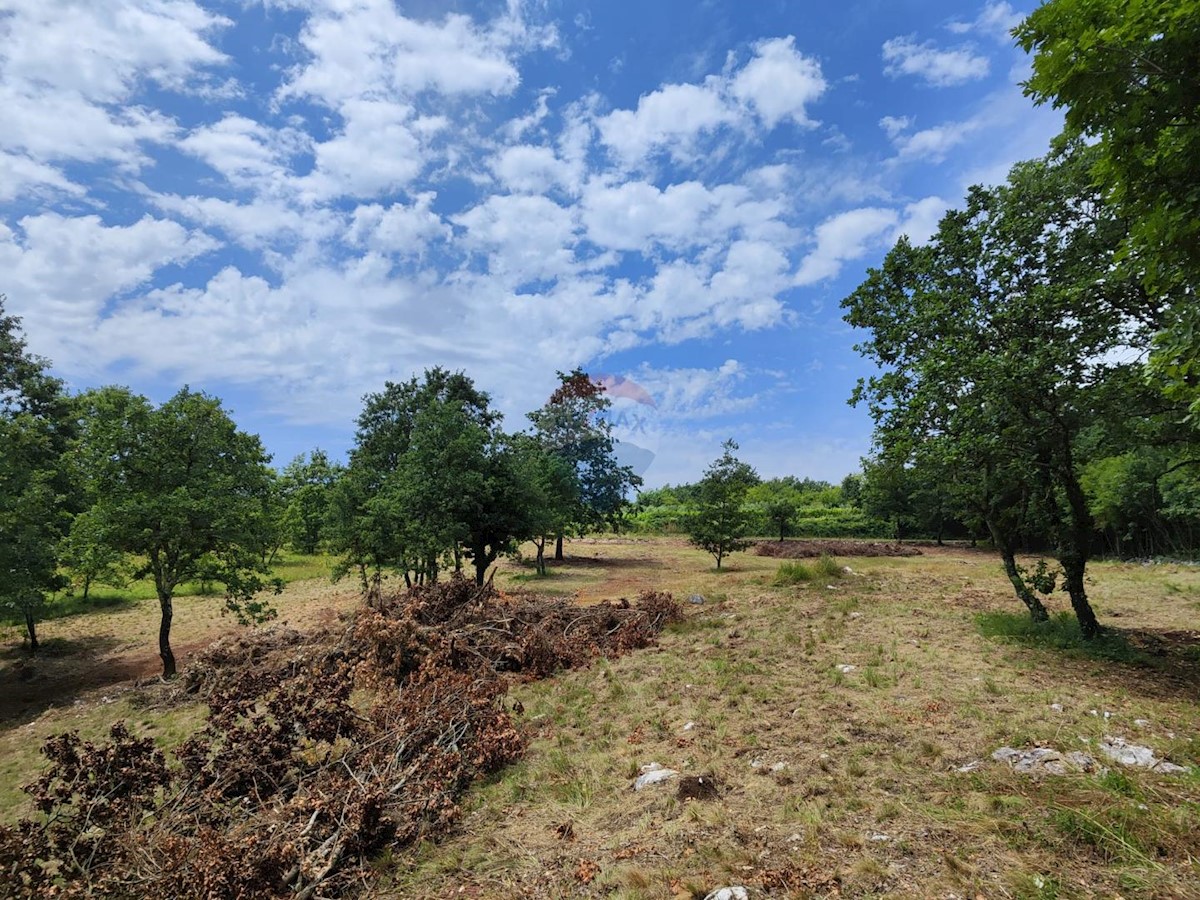 Terrain À vendre - ISTARSKA BARBAN