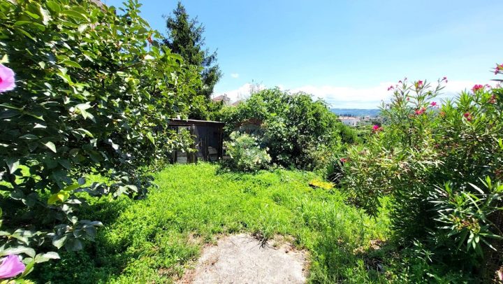 Parcela Naprodaj - Istarska Buje - foto 4/5