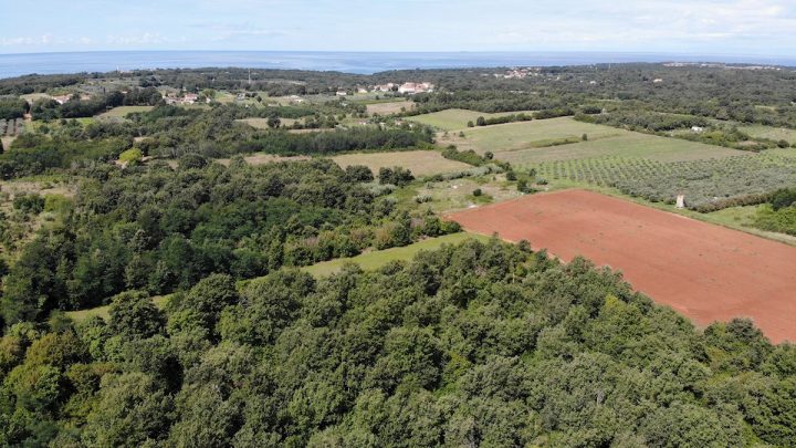 Land for sale 29700 m² – Lovrečica