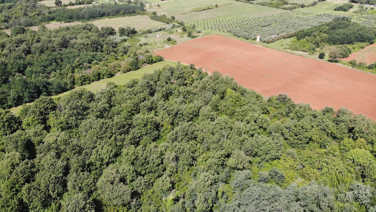 Parcela Naprodaj - ISTARSKA Umag