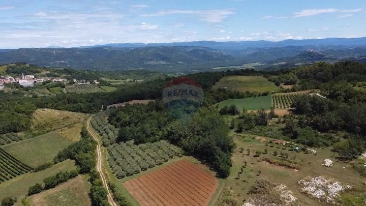 Land for sale 26548 m² – Cvitani