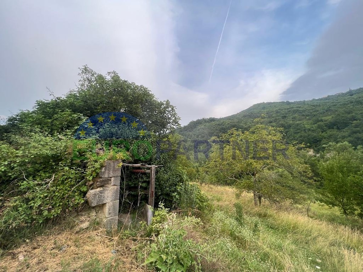 Land For sale - ISTARSKA BUZET