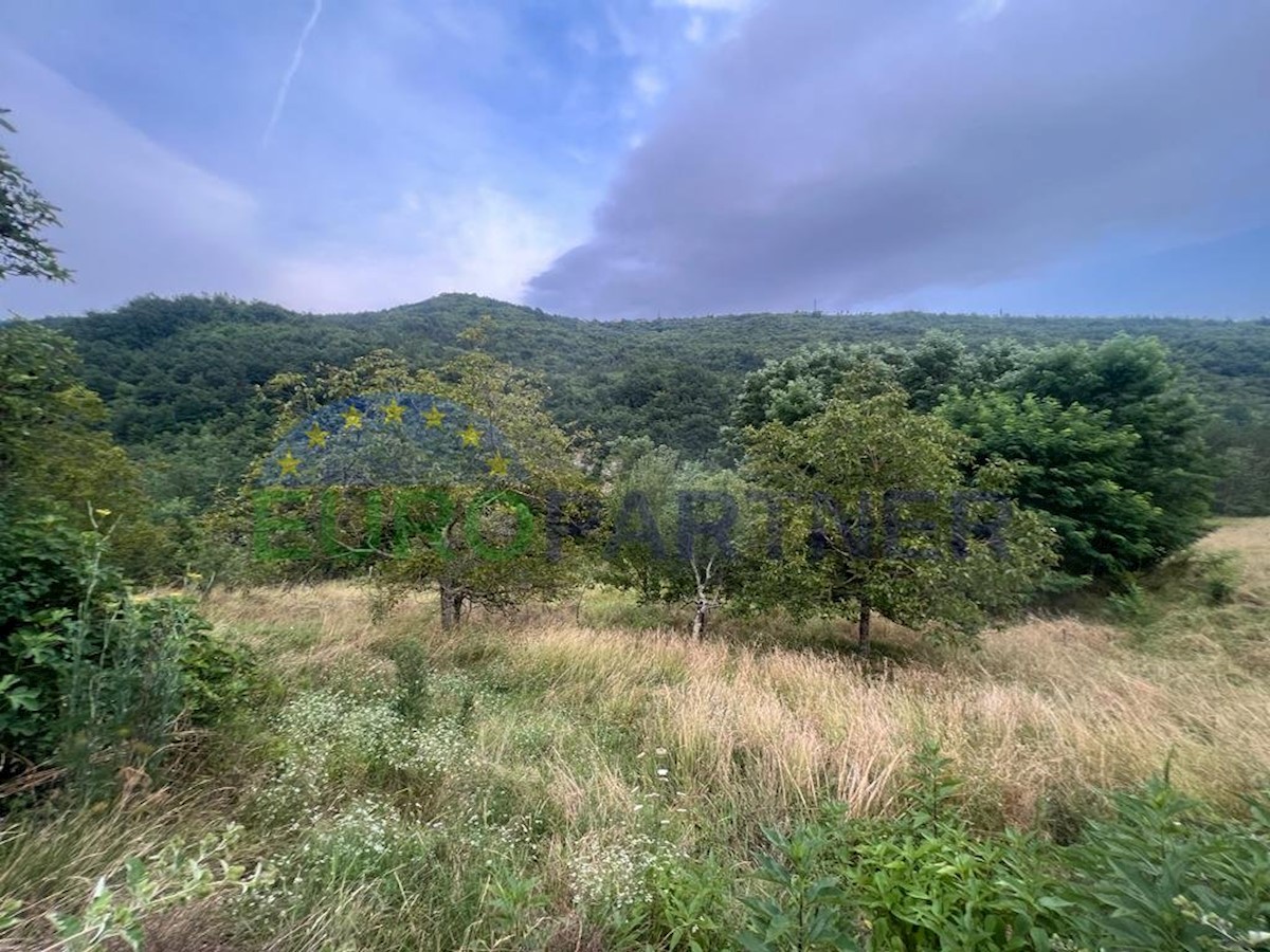 Land For sale - ISTARSKA BUZET