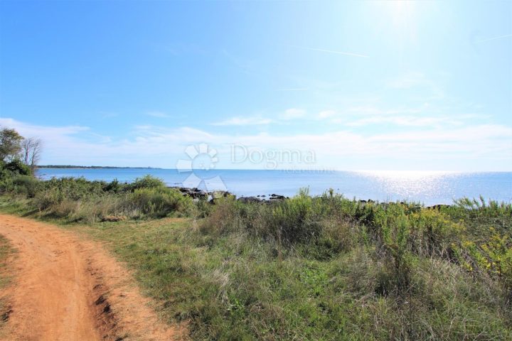 Land for sale 6183 m² – Umag