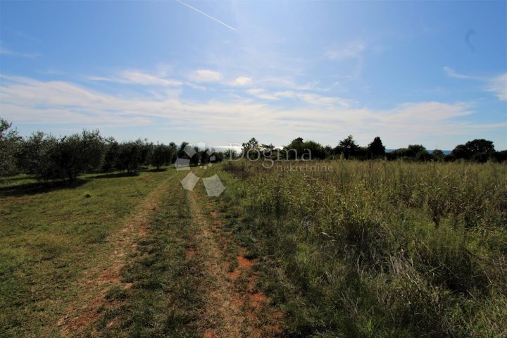 Parcela Naprodaj - Istarska Umag - foto 4/4