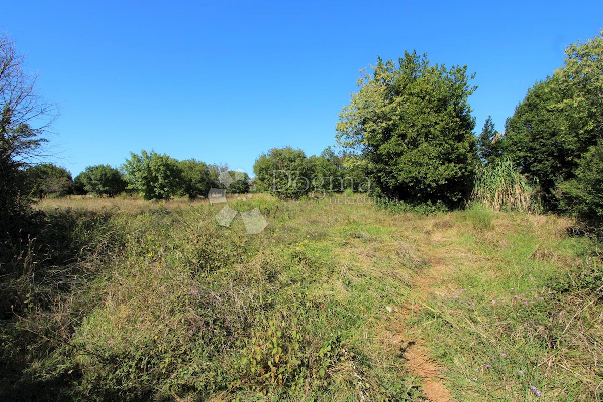 Terrain À vendre - ISTARSKA UMAG