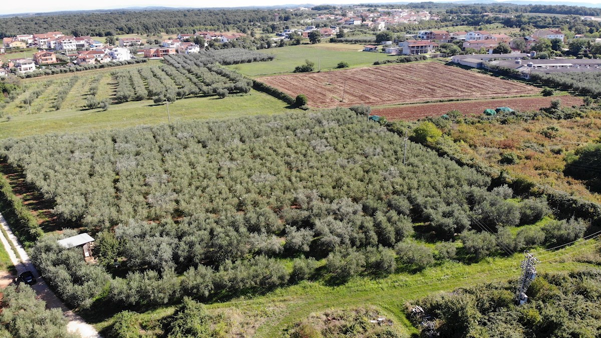 Zemljište Na prodaju - ISTARSKA NOVIGRAD