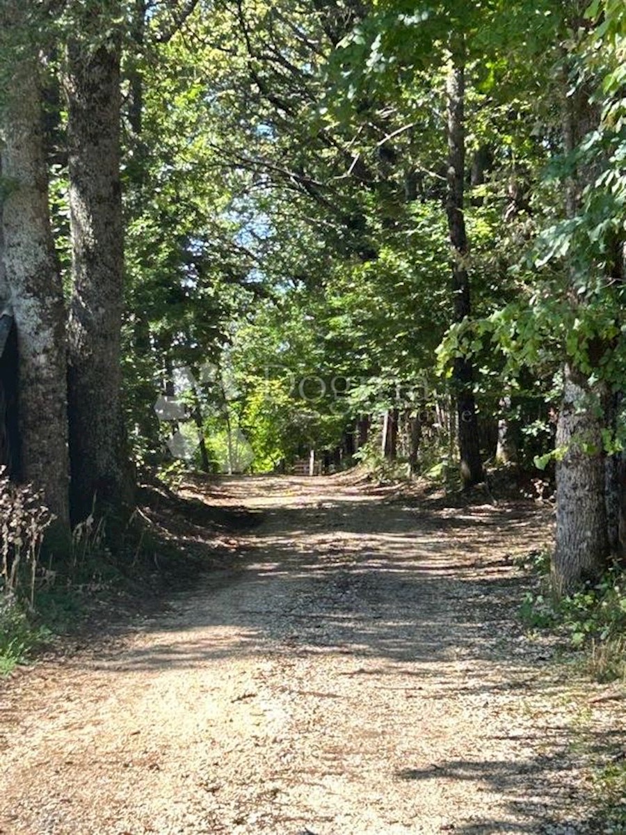 Terreno In vendita - LIČKO-SENJSKA GOSPIĆ