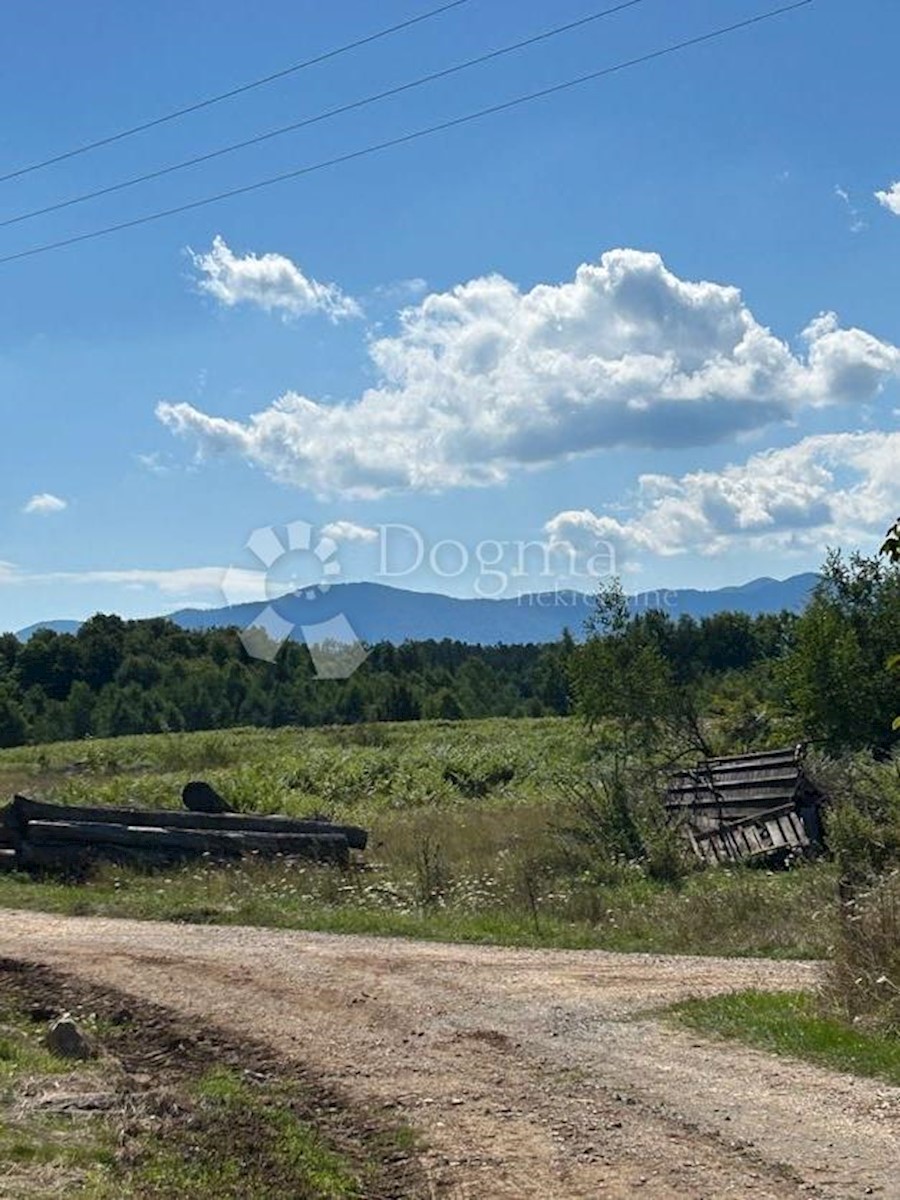 Land For sale - LIČKO-SENJSKA GOSPIĆ