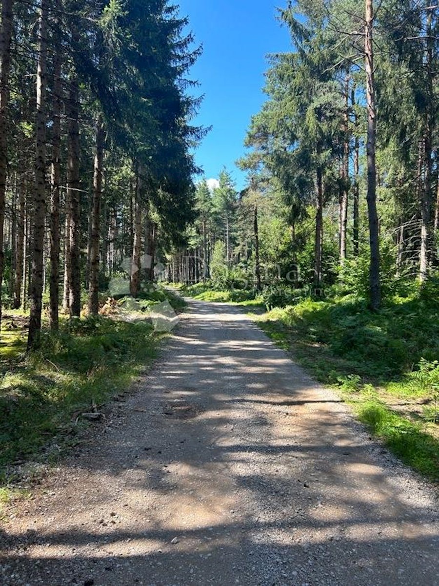 Kuća Na prodaju KLANAC