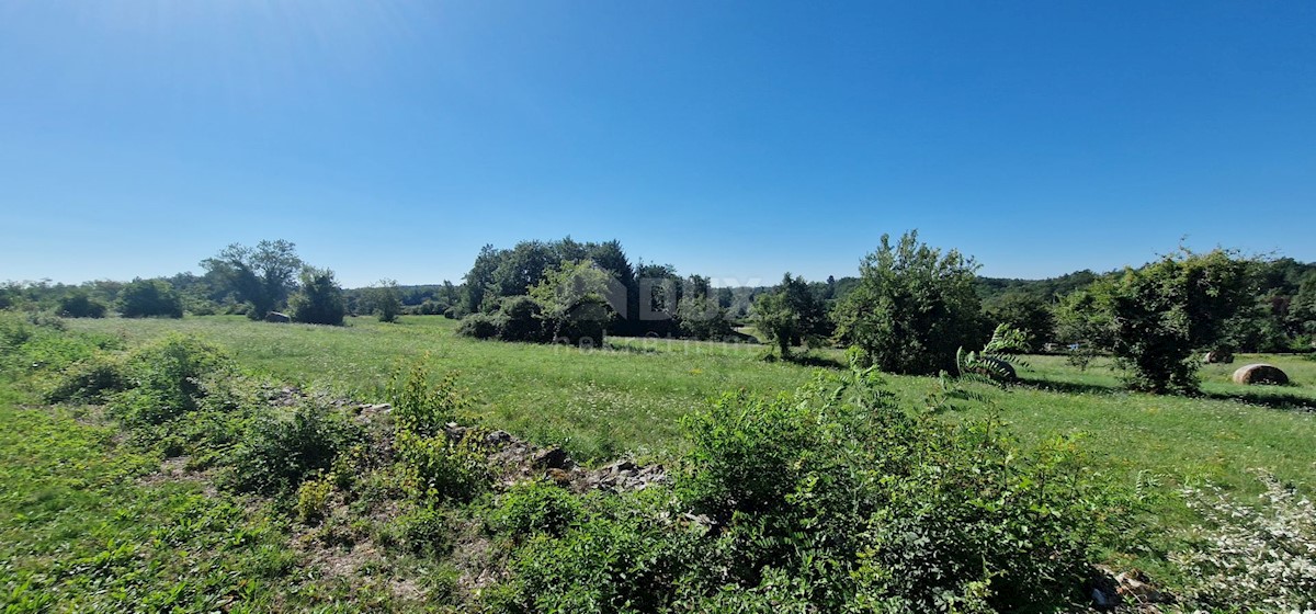 Pozemek Na prodej - ISTARSKA PAZIN