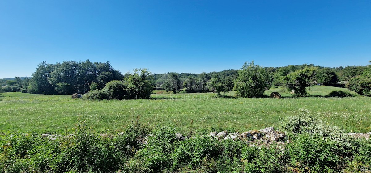 Pozemek Na prodej - ISTARSKA PAZIN