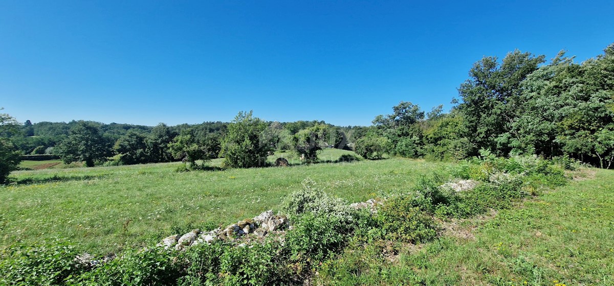 Pozemek Na prodej - ISTARSKA PAZIN