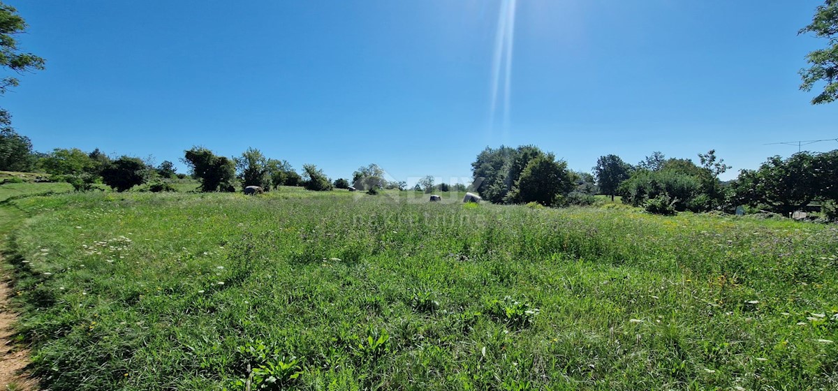 Pozemek Na prodej - ISTARSKA PAZIN