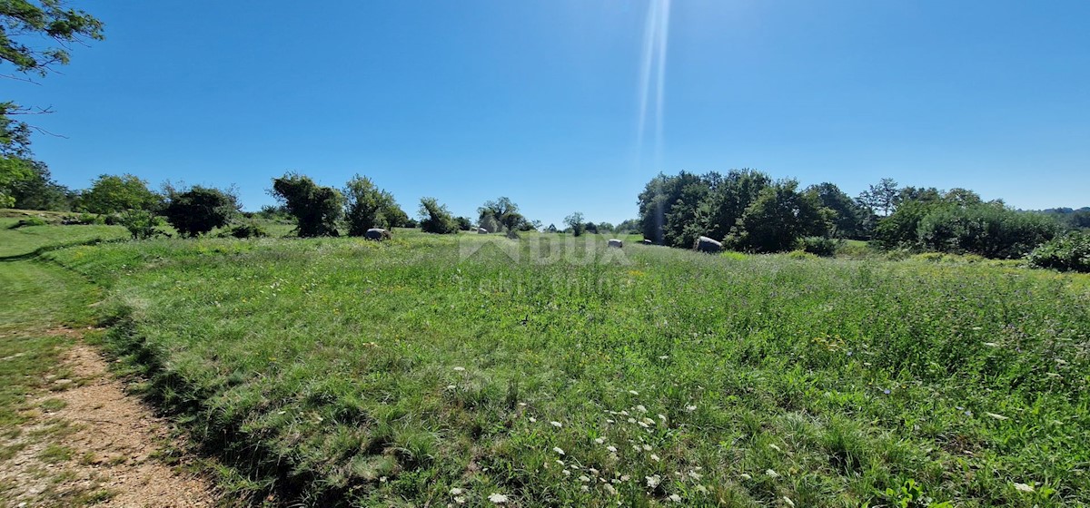 Pozemek Na prodej - ISTARSKA PAZIN