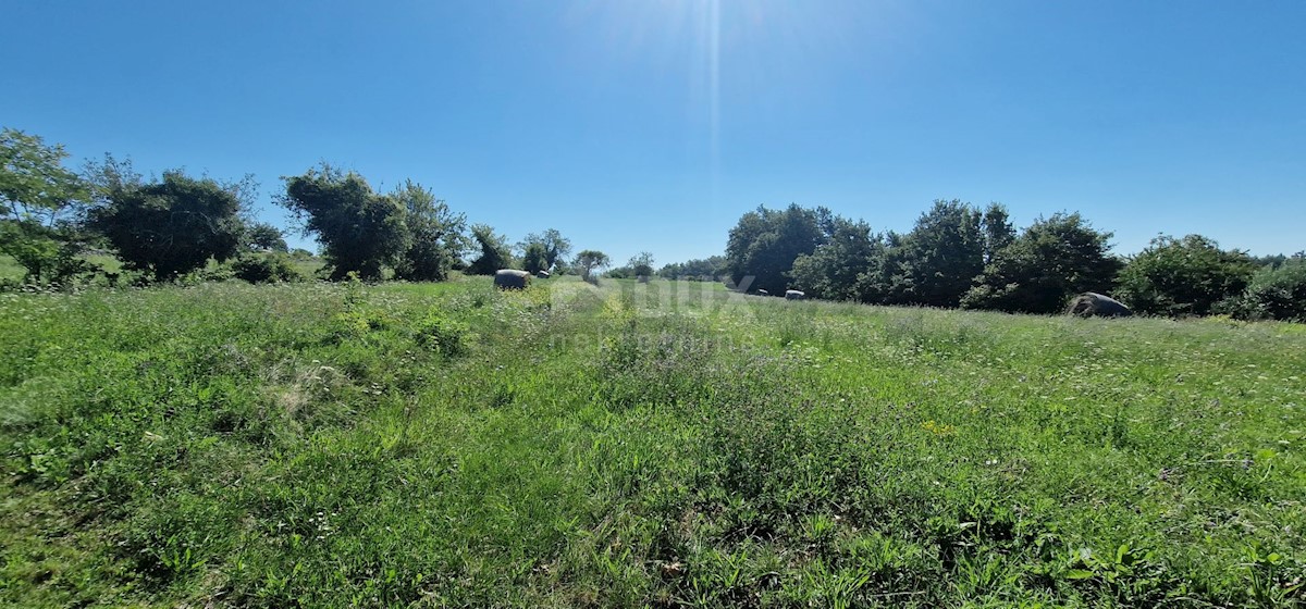 Pozemek Na prodej - ISTARSKA PAZIN