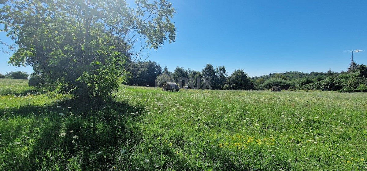 Pozemek Na prodej - ISTARSKA PAZIN