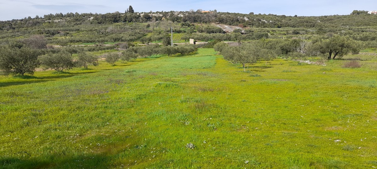 Haus Zu verkaufen - ŠIBENSKO-KNINSKA ŠIBENIK