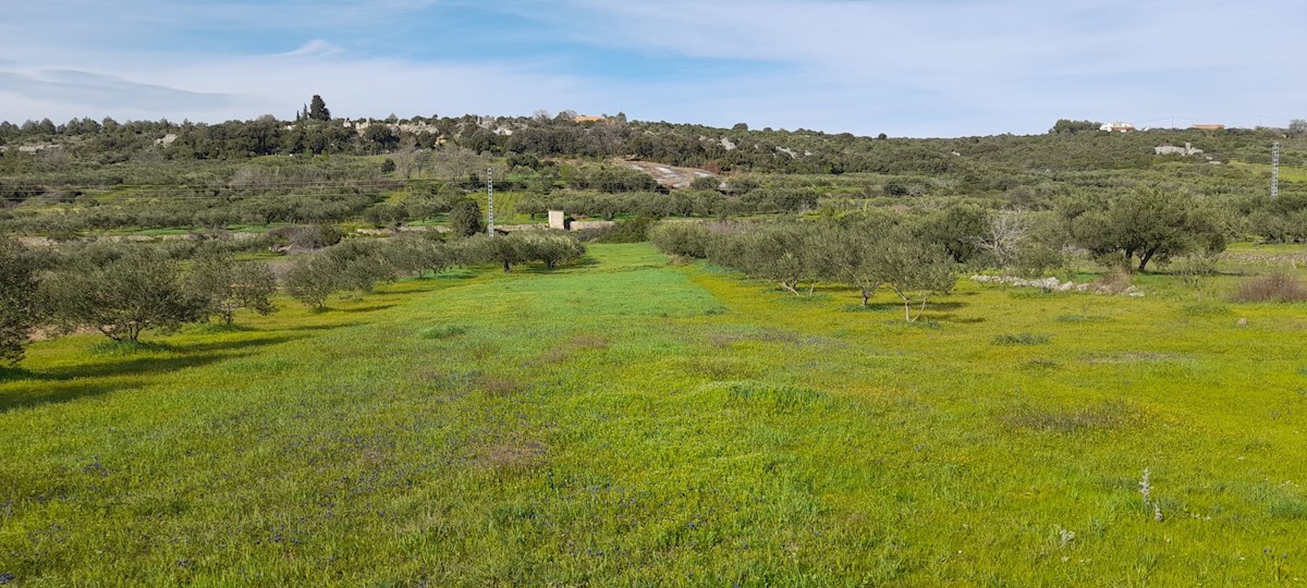 House For sale - ŠIBENSKO-KNINSKA ŠIBENIK