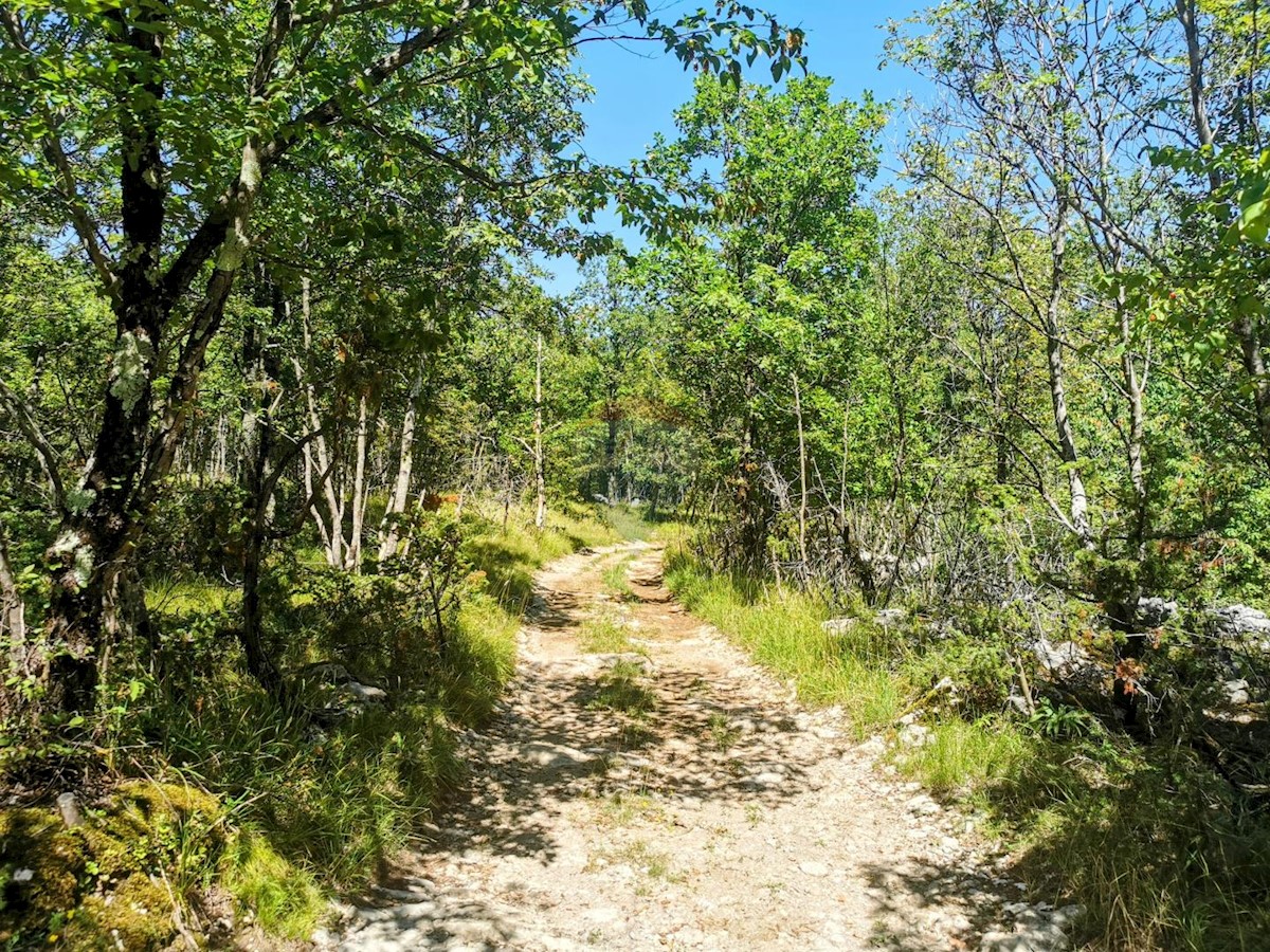 Parcela Naprodaj - PRIMORSKO-GORANSKA Matulji