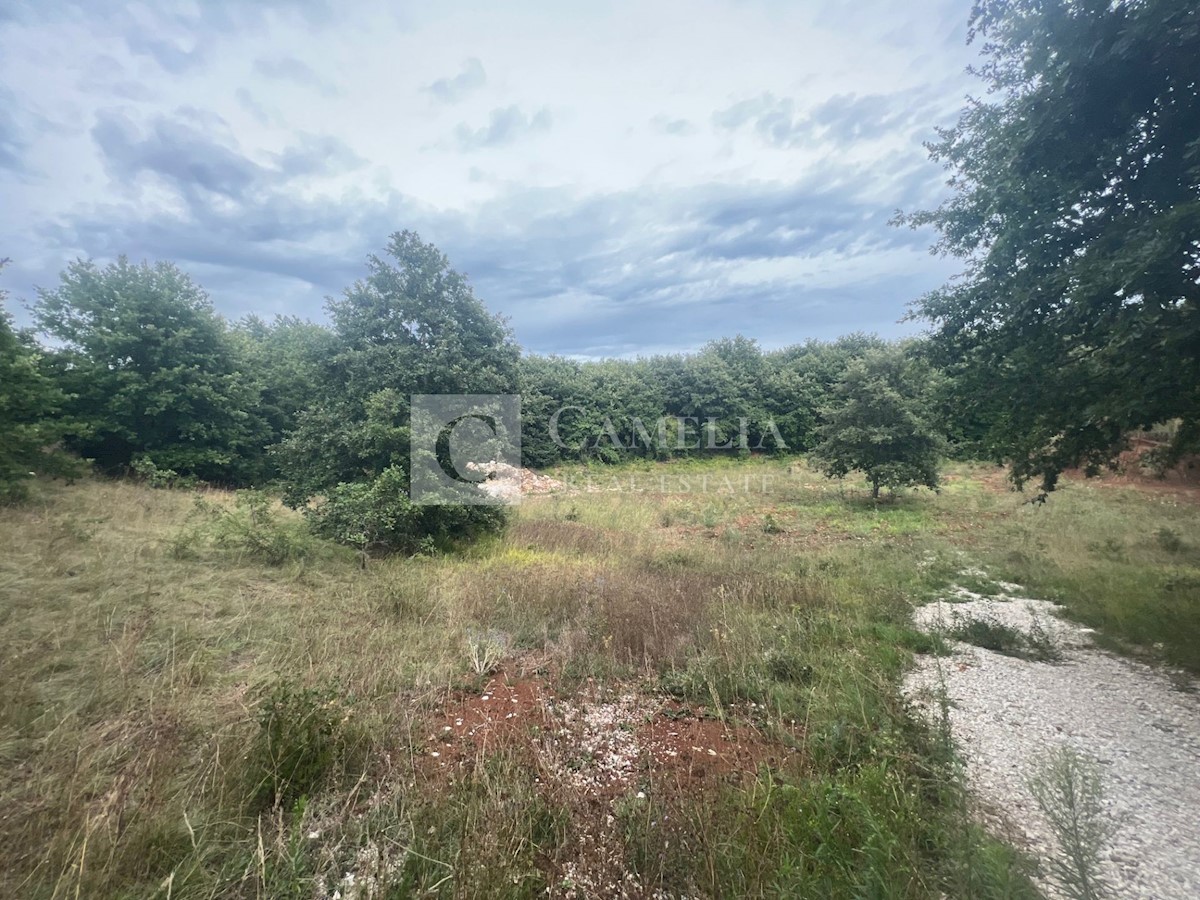 Pozemek Na prodej - ISTARSKA SVETVINČENAT