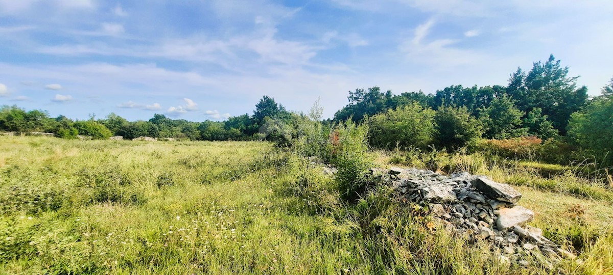 Terrain À vendre - Istarska Kanfanar - foto 4/5
