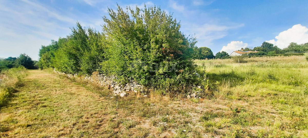 Terrain À vendre - Istarska Kanfanar - foto 5/5