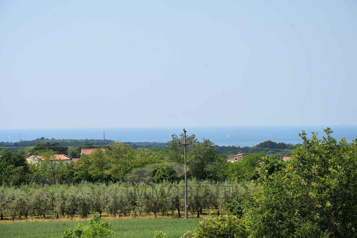 Appartamento In vendita - Istarska Poreč - foto 4/17