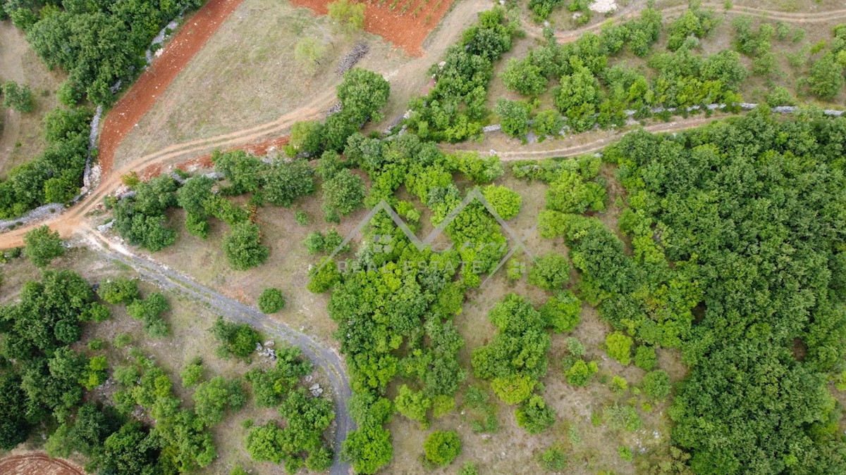 Terreno In vendita