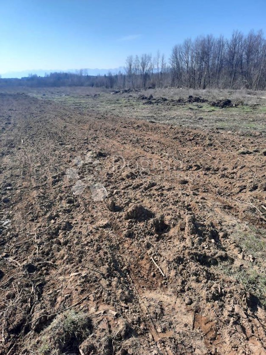 Terreno In vendita - LIČKO-SENJSKA GOSPIĆ