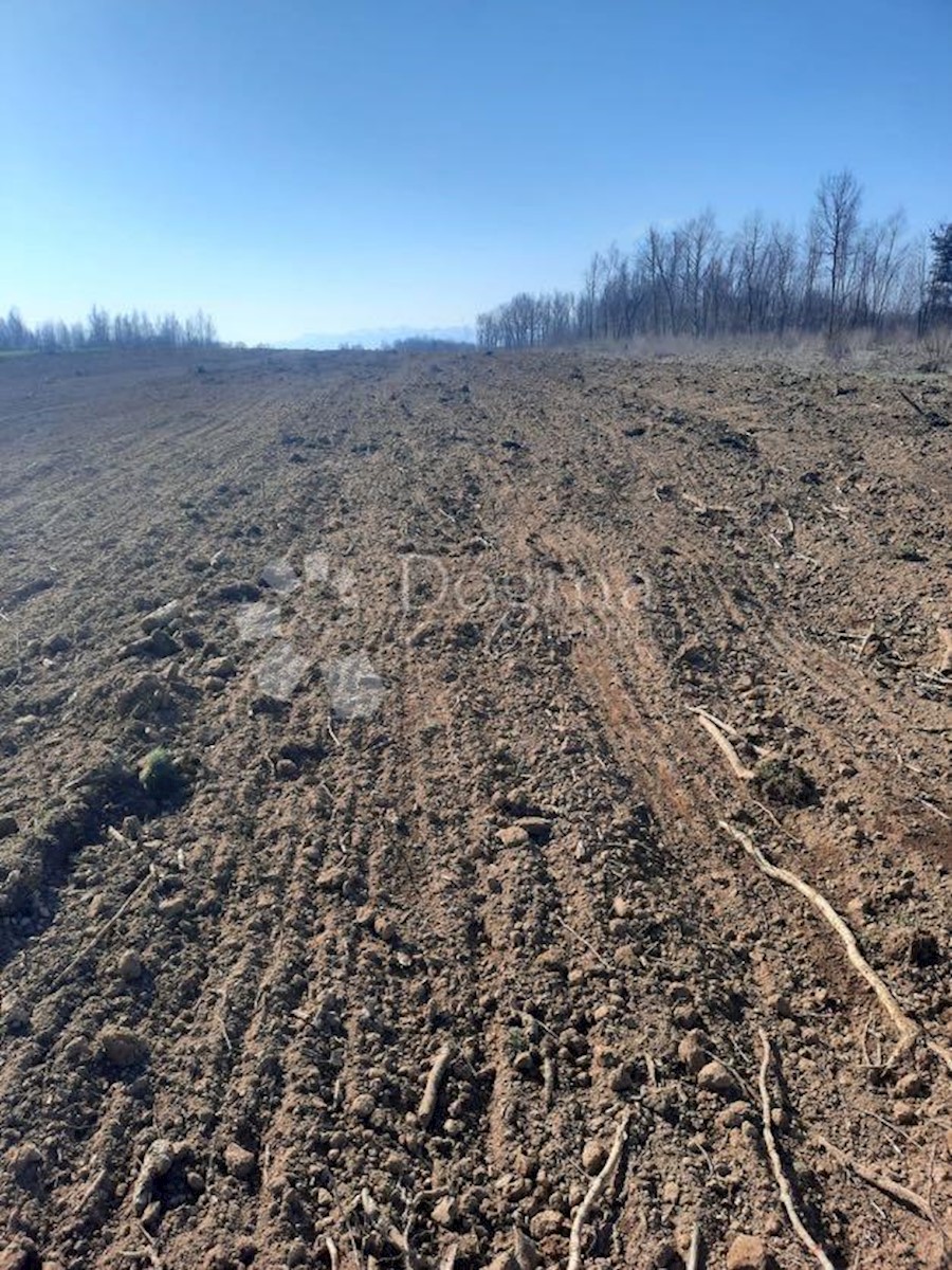 Terreno In vendita - LIČKO-SENJSKA GOSPIĆ