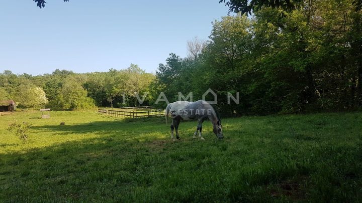 Grundstück Zu verkaufen - Istarska Poreč - foto 2/4