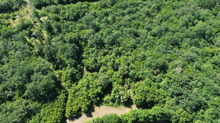 Land For sale - Primorsko-goranska Krk - foto 2/2