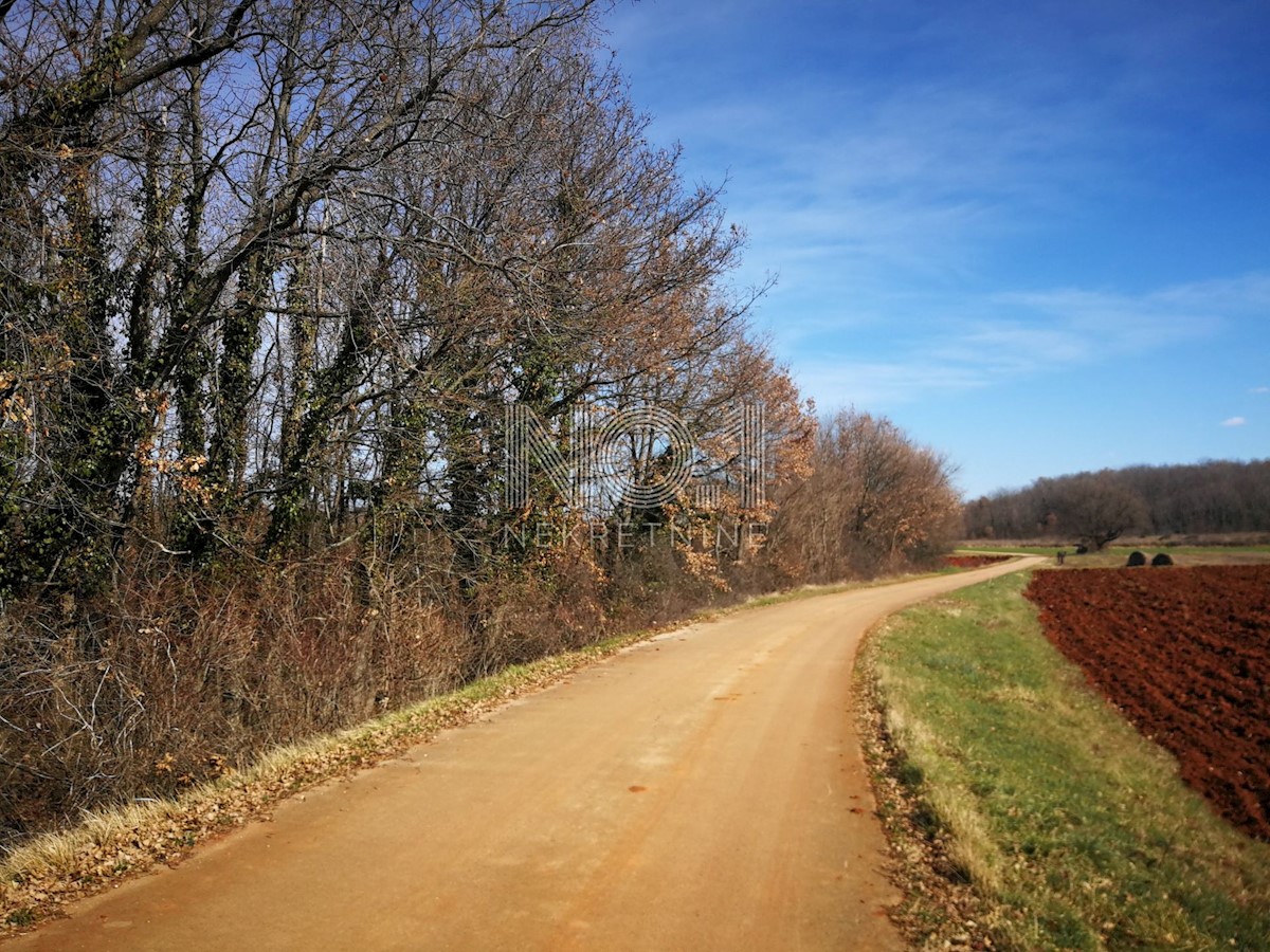 Pozemok Na predaj - ISTARSKA VIŽINADA