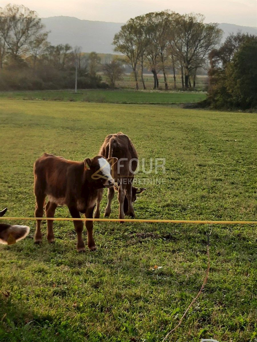 Zemljište Na prodaju - ISTARSKA KRŠAN