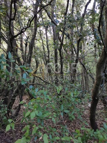 Terreno in vendita 47255 m² – Kavran