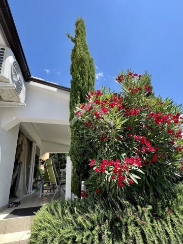 Haus Zu verkaufen - Zadarska Vir - foto 3/18