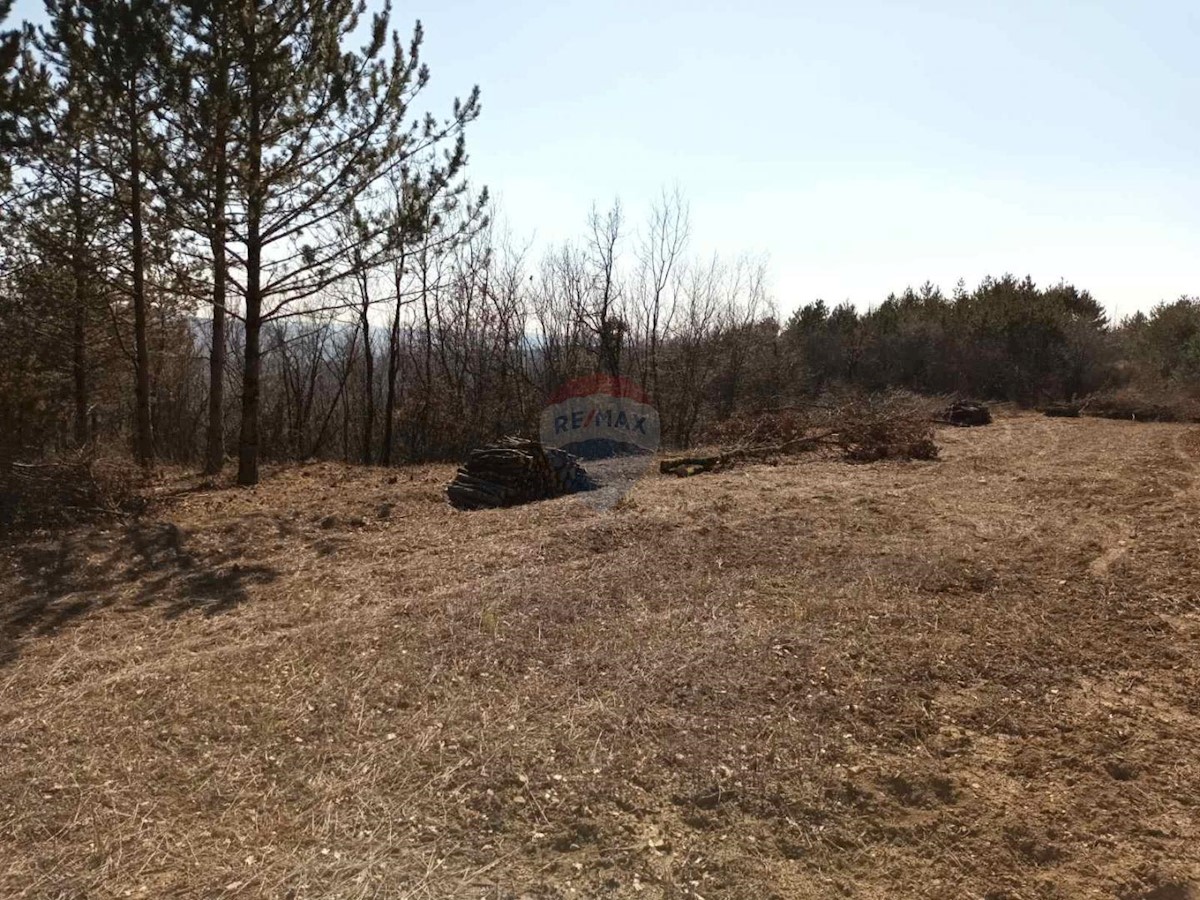 Land For sale - ISTARSKA BUZET