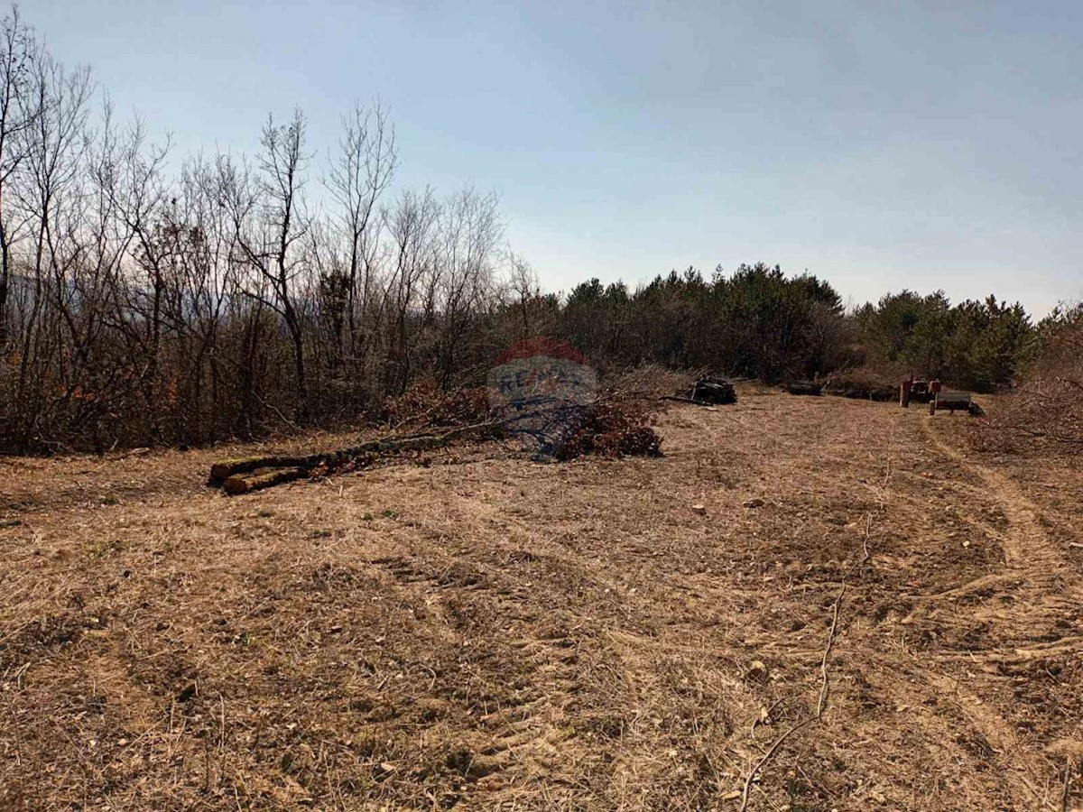 Terreno In vendita - ISTARSKA BUZET