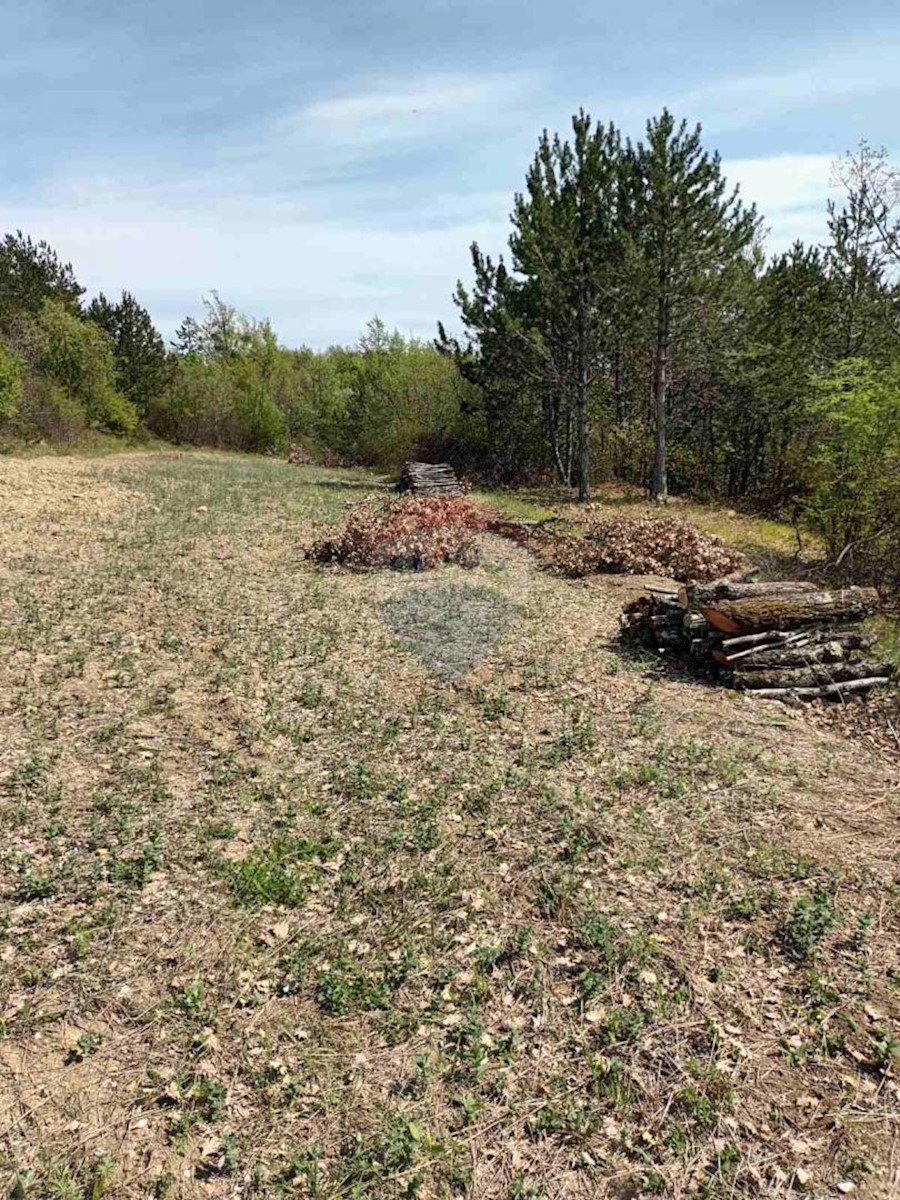 Terreno In vendita - ISTARSKA BUZET