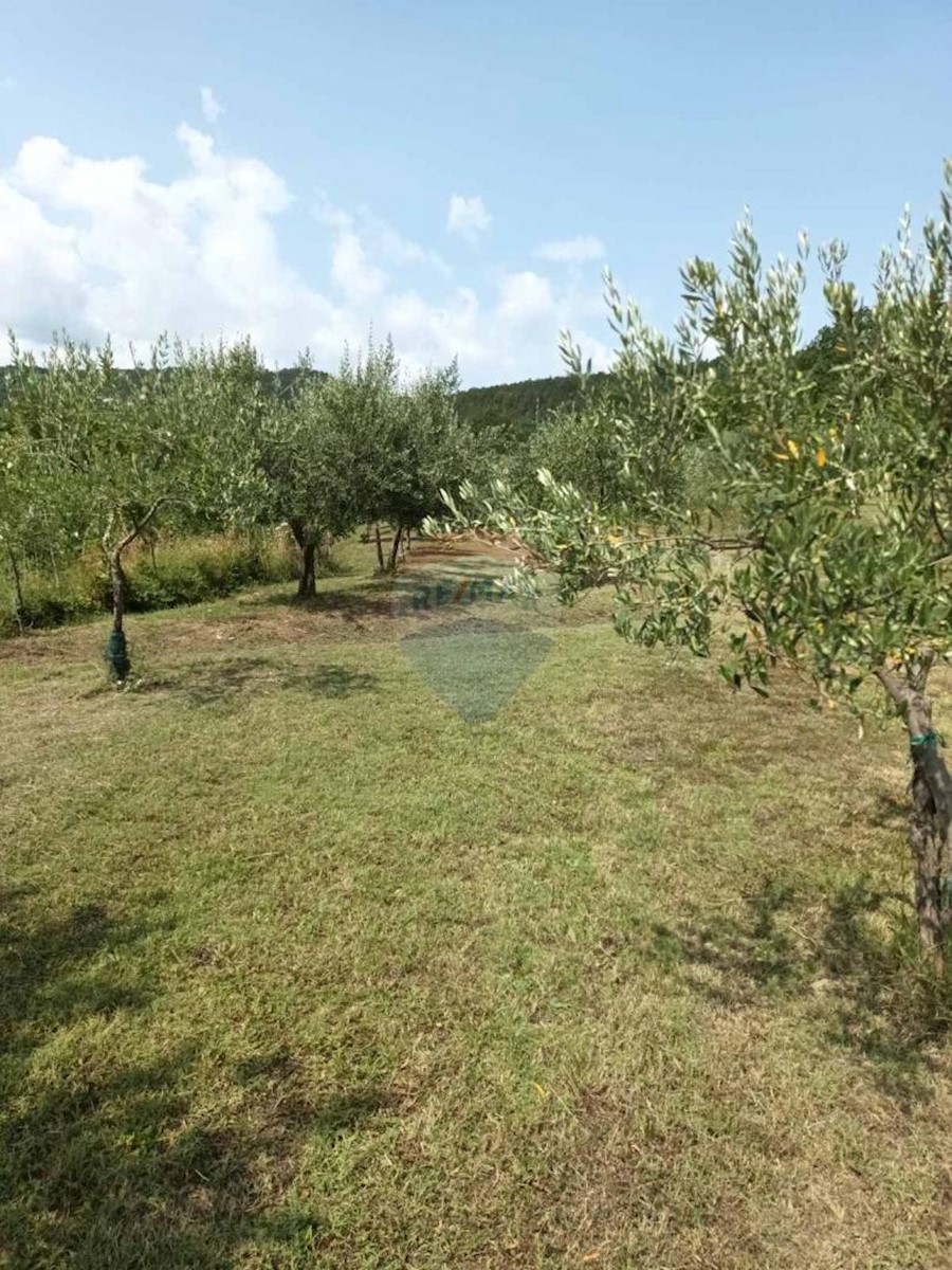 Zemljište Na prodaju - ISTARSKA BUZET